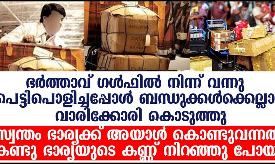 വിദേശത്തുനിന്ന് വന്ന ഭർത്താവ് ഭാര്യക്ക് കൊണ്ടുവന്ന ഞെട്ടിക്കുന്ന സമ്മാനം എന്തെന്നറിയേണ്ടേ.