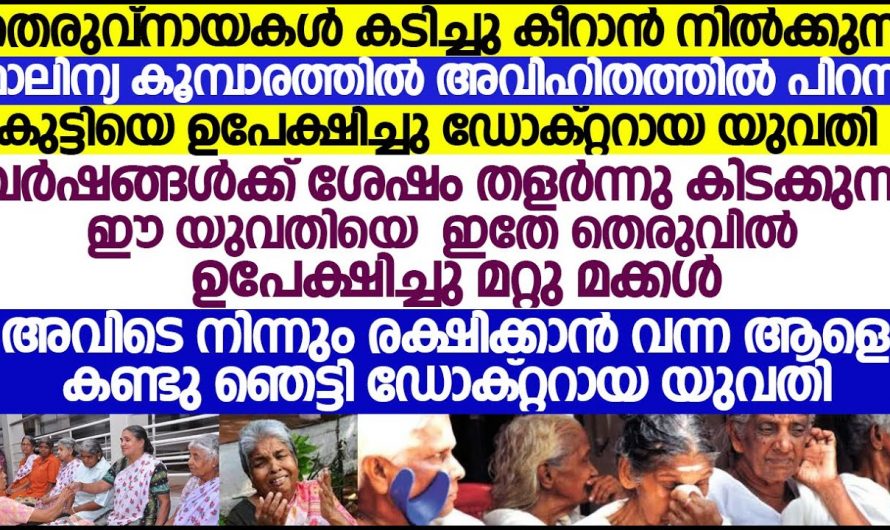 അവൾ ആ ചോര കുഞ്ഞിനെ തെരുവിലേക്ക് വലിച്ചെറിഞ്ഞു.വിധി അവനെ അവളുടെ അടുക്കലേക്ക് എത്തിച്ചു…