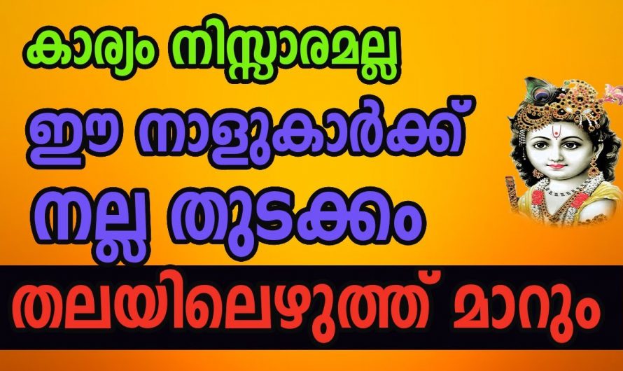 ജീവിതത്തിൽ മിന്നുന്ന വിജയം കാഴ്ചവയ്ക്കാനായി പോകുന്ന നക്ഷത്ര ജാതകർ ഇവരെല്ലാം…