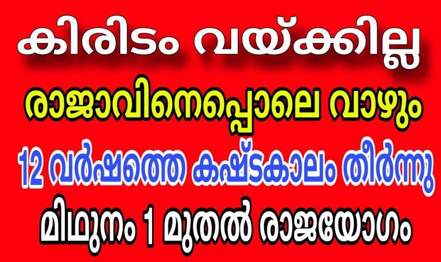 രാജാവിനെപ്പോലെ ആകാൻ നിങ്ങൾ രാജാവ് ആകണമെന്നില്ല